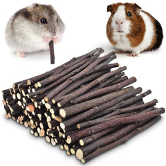 ERKOON Apple Sticks pack 500g ready for small pets' daily chewing