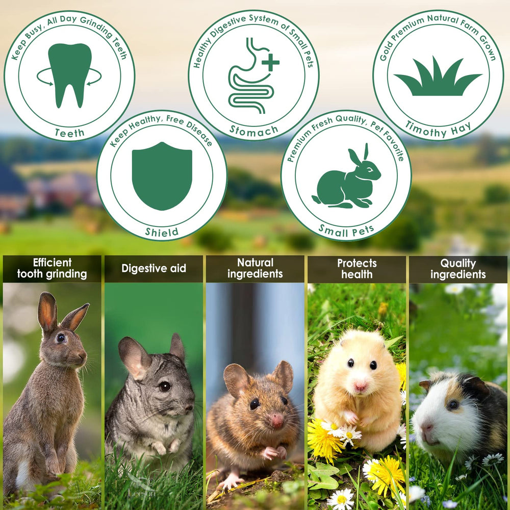 ERKOON Bonding playtime with small pets illustrates interactive enrichment moments.