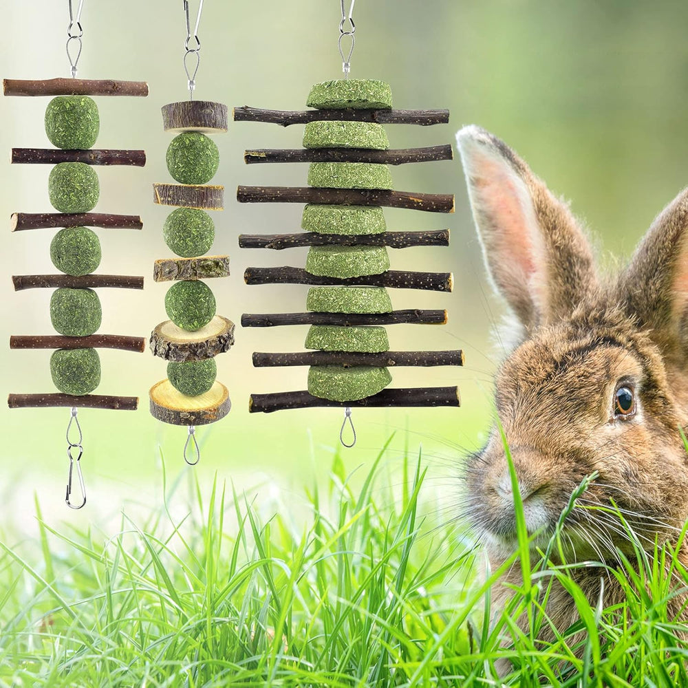 ERKOON bunny-chew-toys-multi-pet-use: suitable for rabbits, guinea pigs, and chinchillas.
