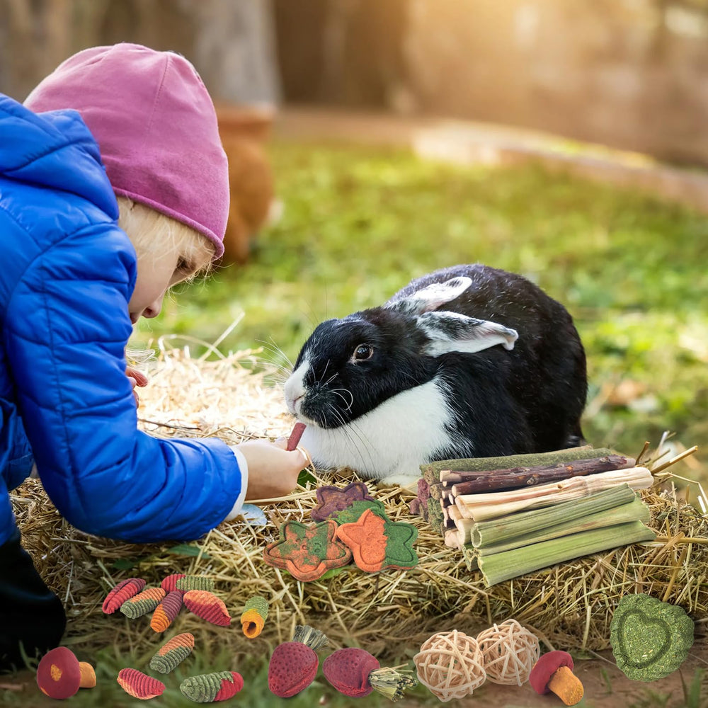 ERKOON bunny chew toys Strawberry Grass Cake colorful texture for engagement