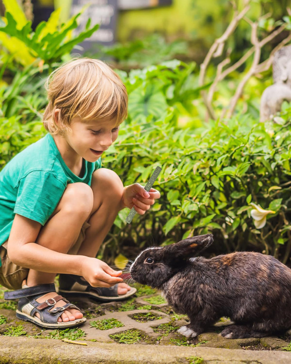 ERKOON bunny and guinea pig chew toys nurturing bonding moments.