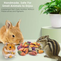ERKOON chinchilla treats close-up texture promotes safe chewing