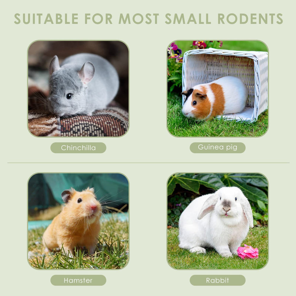 ERKOON Chinchilla Treats large-pack front view for convenient stocking.