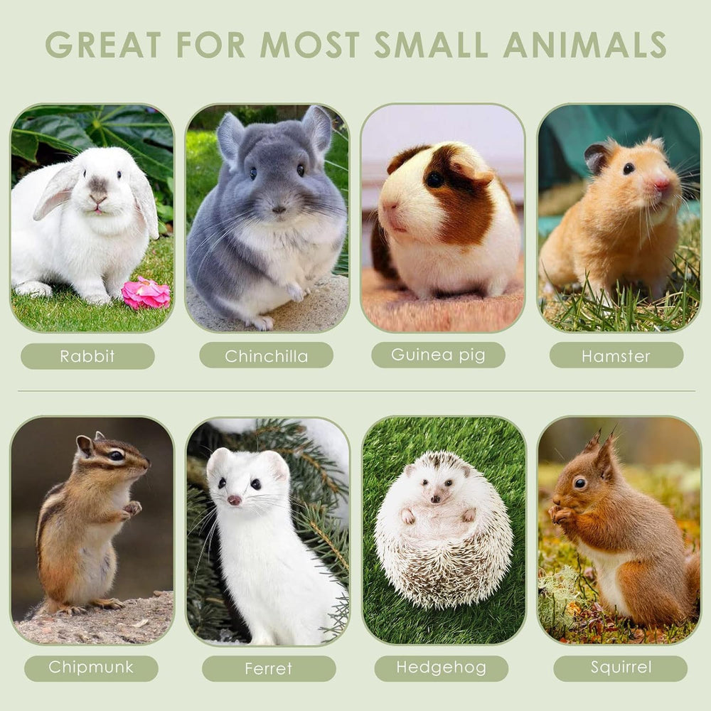 ERKOON chinchilla treats rodents-appropriate chew toy for multiple species