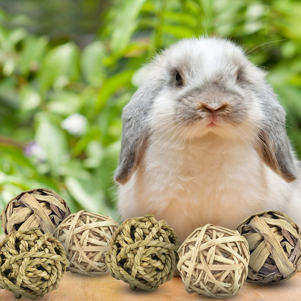 ERKOON edible woven grass ball tiny-pets enjoying safe chewing and play