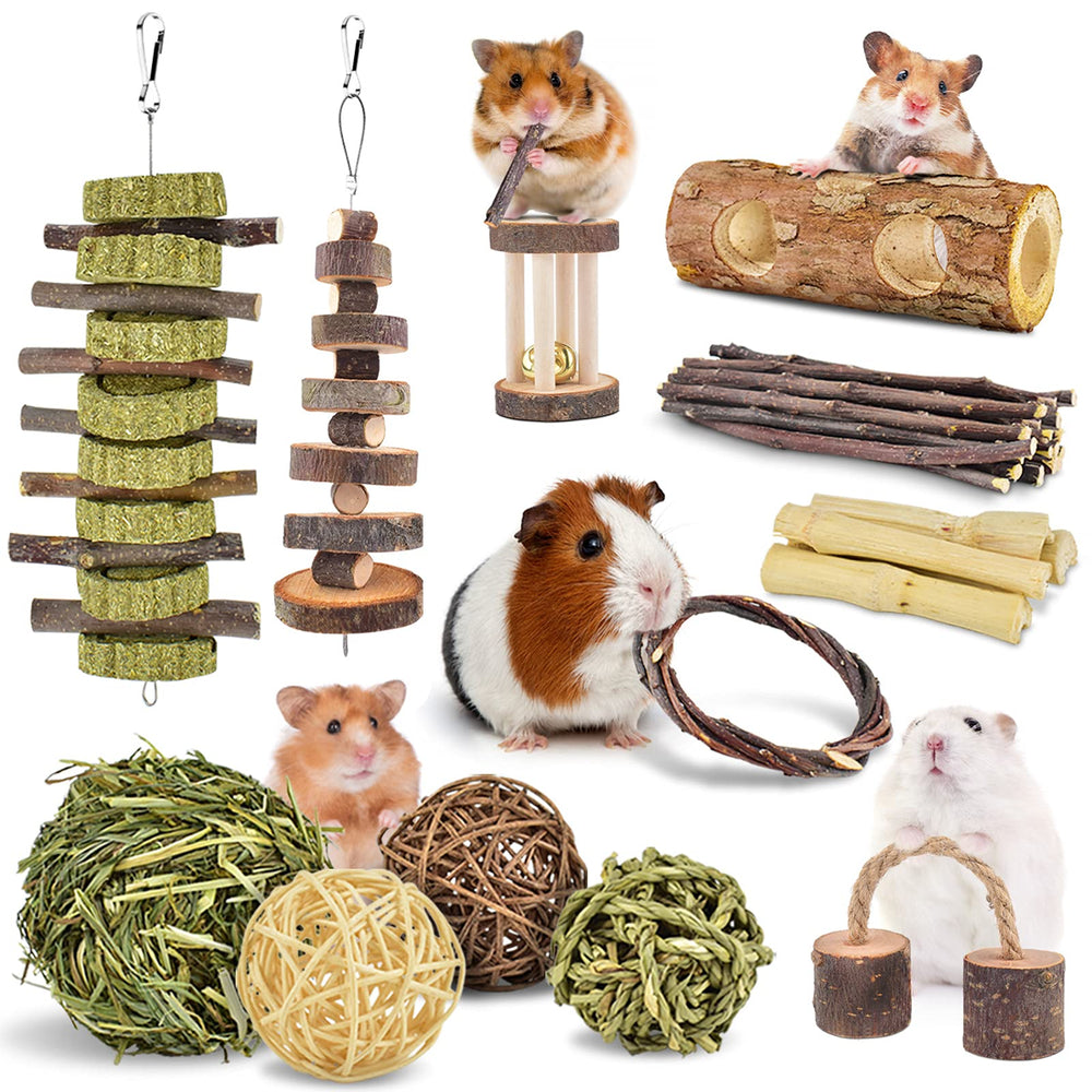 ERKOON grass apple tree ladder promotes safe chewing and mental stimulation for small pets