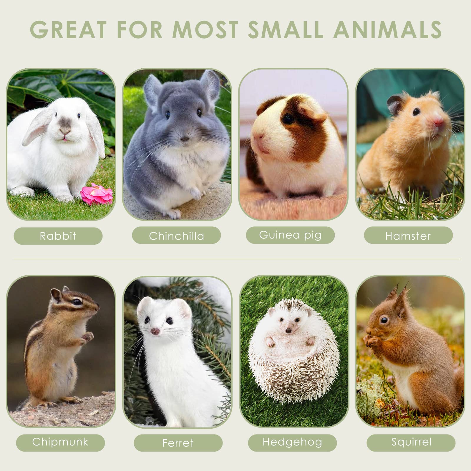 ERKOON Chinchilla Treats suited for mixed small pets like rabbits and hamsters