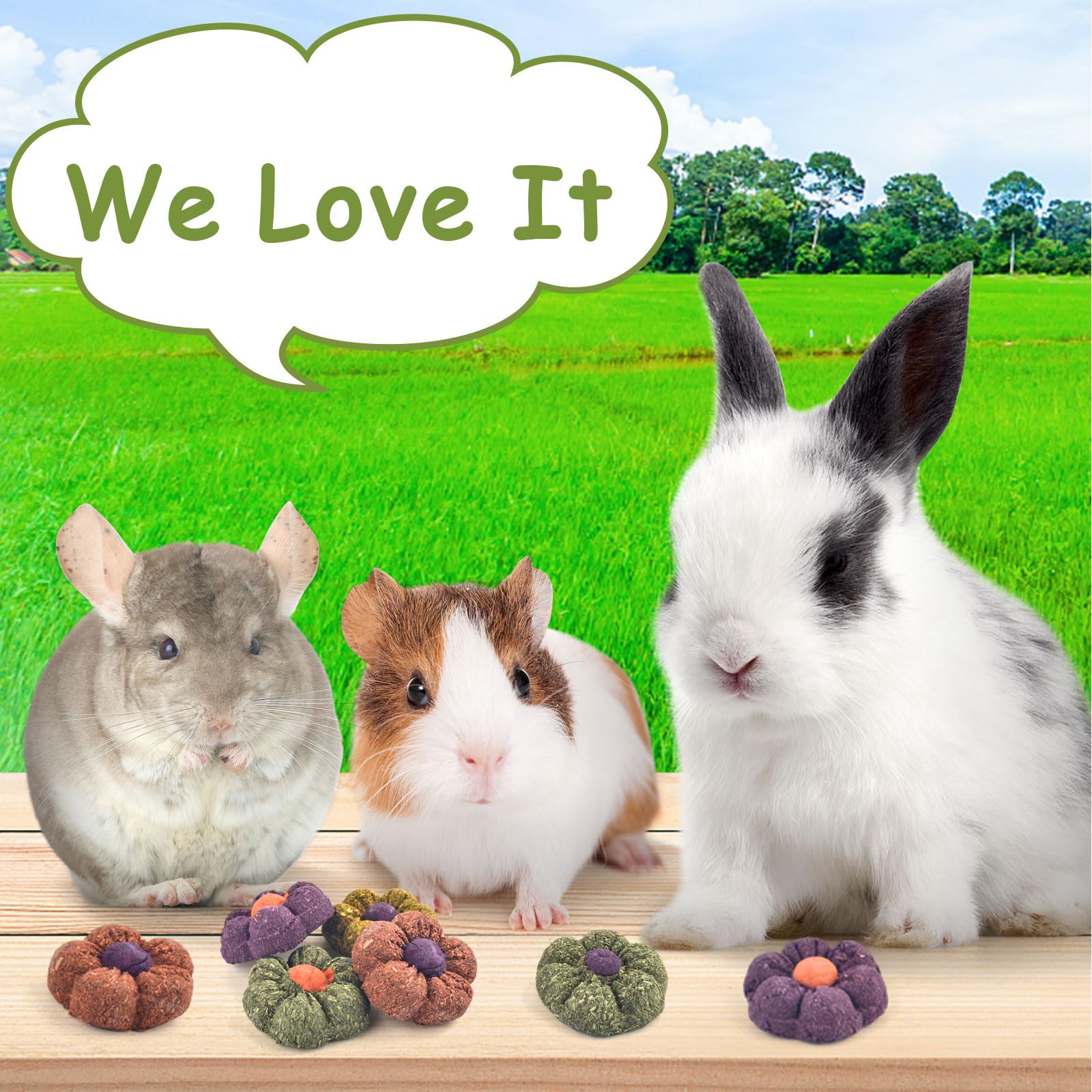 ERKOON rabbit chews bonding moment with curious small pets.