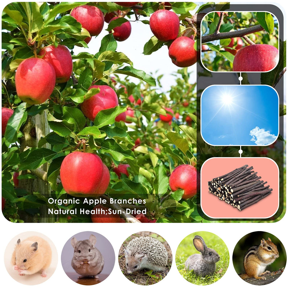 A small animal chewing ERKOON apple sticks, satisfying natural gnawing instincts