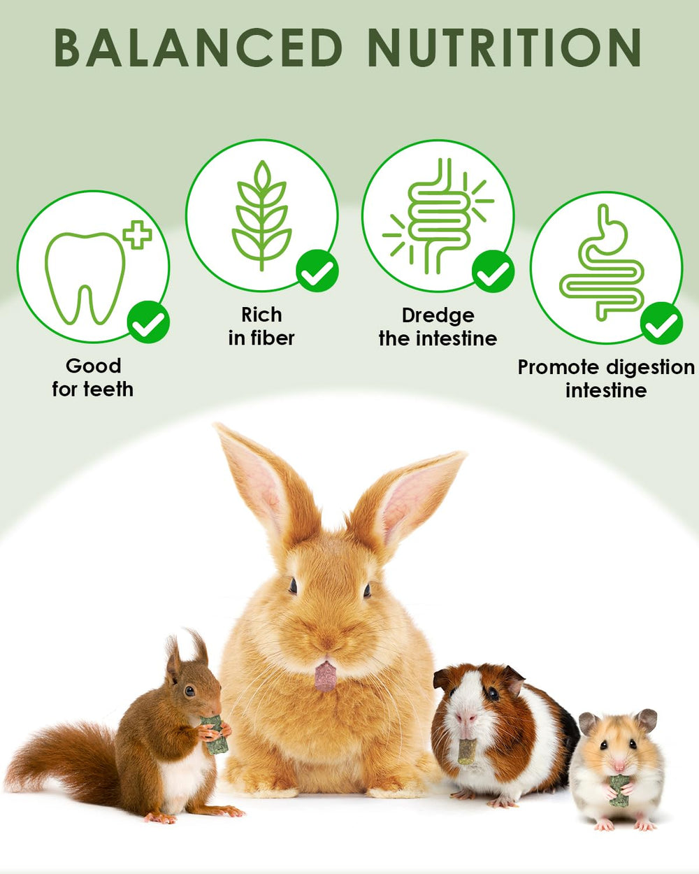 ERKOON small rodent chew enrichment ideal for rabbits, guinea pigs, and friends.