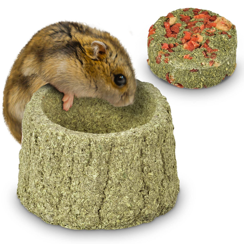 ERKOON Timothy Hay Chew A Bowl closeup shows fibrous texture for gnawing.