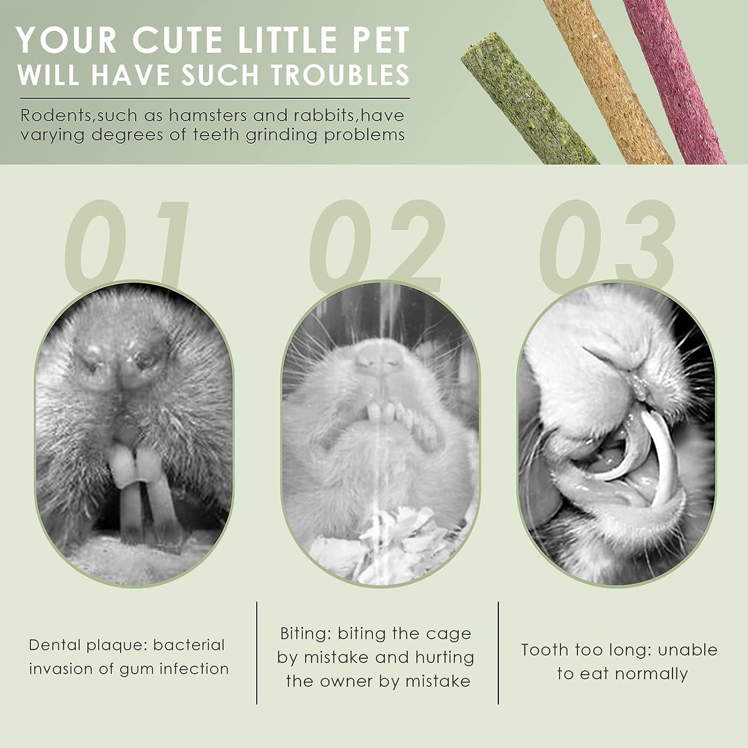 ERKOON Timothy Hay Sticks Oatmeal flavor provides comforting aroma and variety.