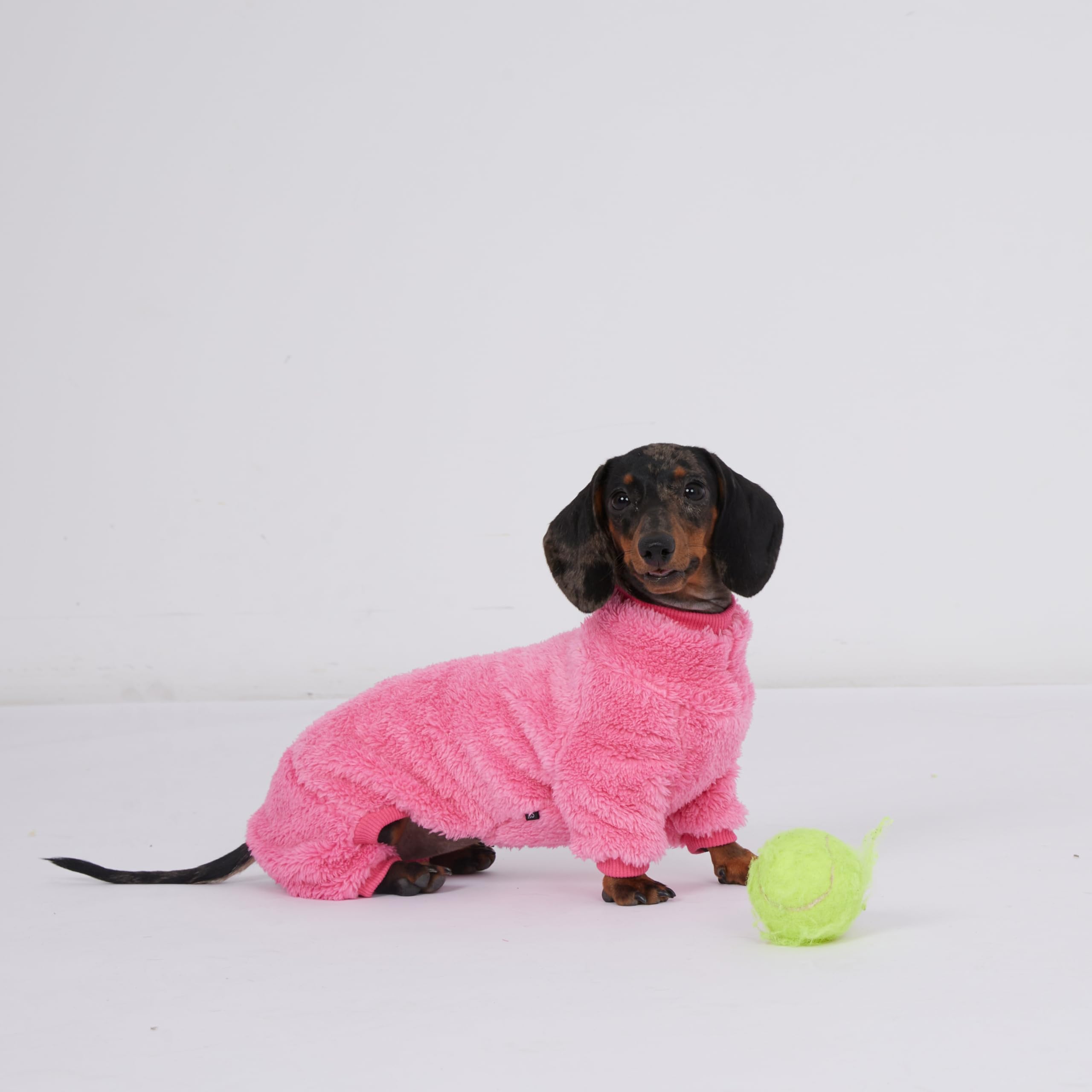 ESCCBOO dachshund fleece jumpsuit back view secure fit
