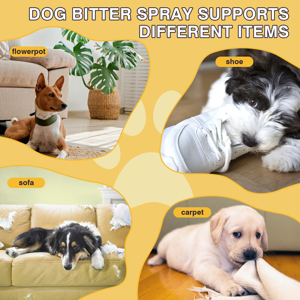 ESIXJS alcohol-free-gentle-formula safe for pets and humans during use.