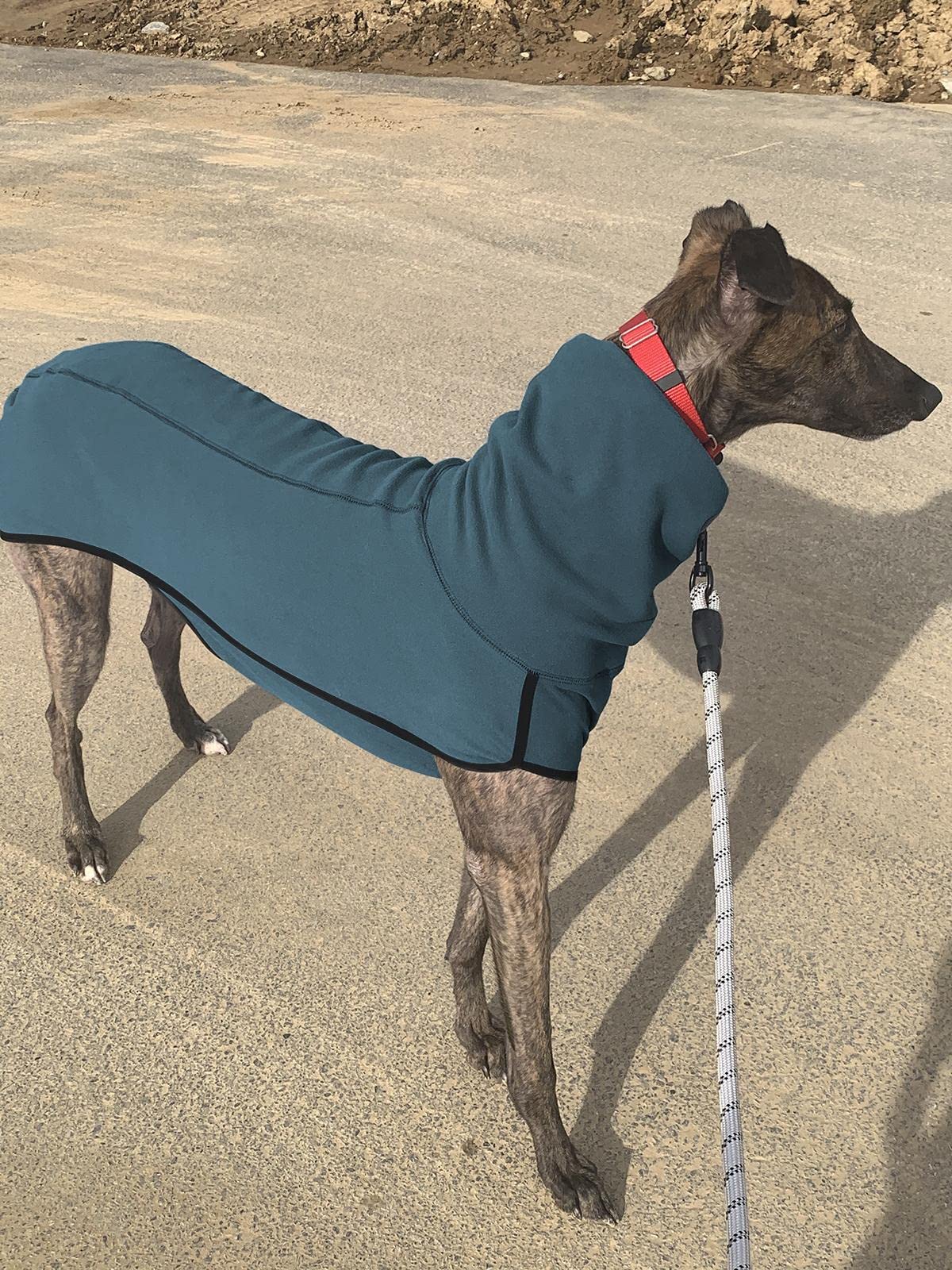 Esobo fleece dog coat three-season wear for spring and autumn.