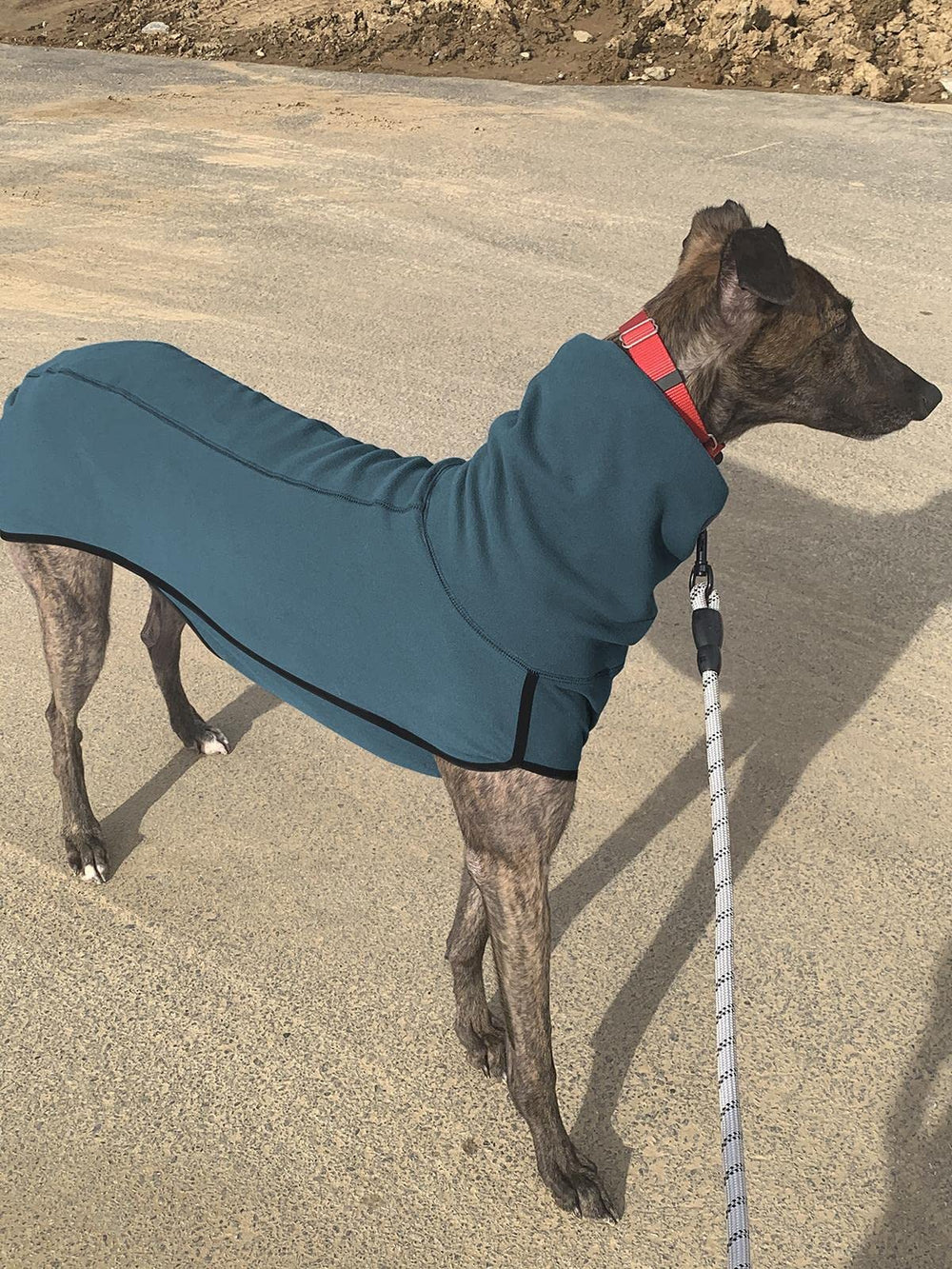Esobo fleece dog coat three-season wear for spring and autumn.