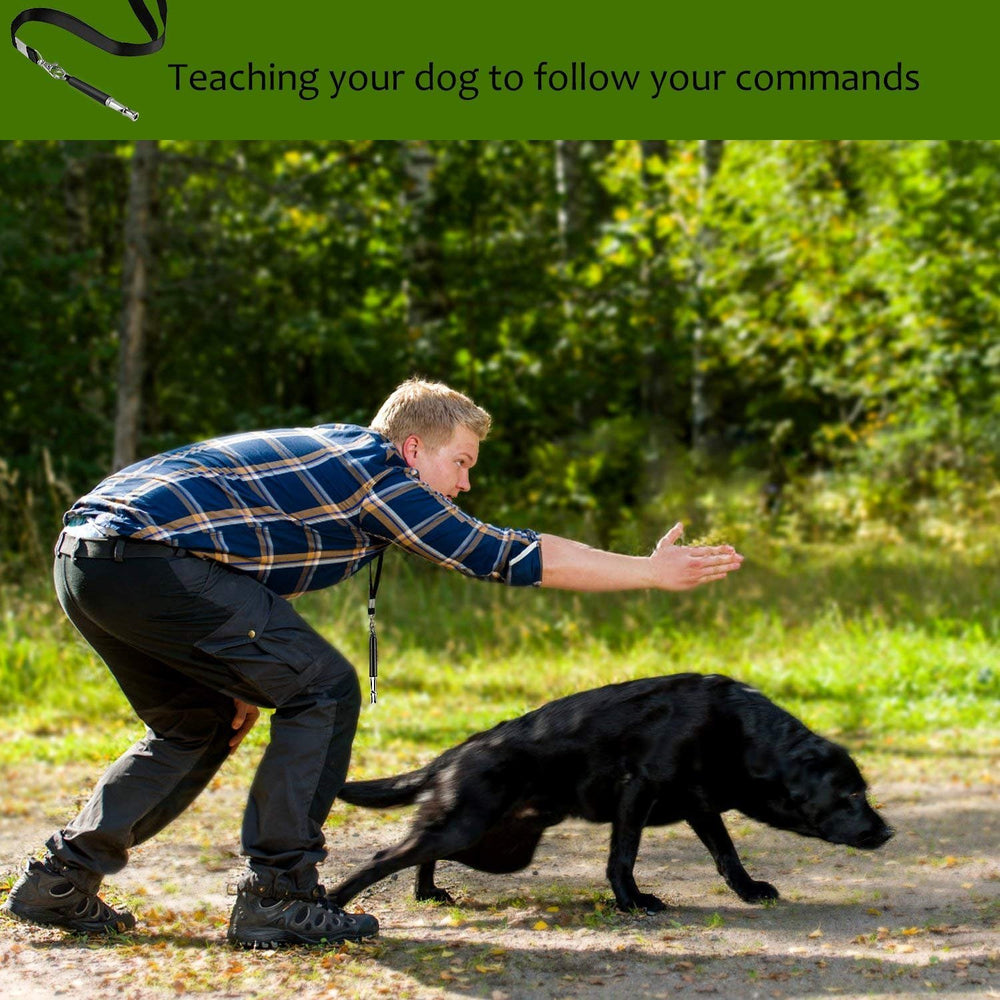 ESONLITOR dog whistle metal-construction resists rust for durable training.