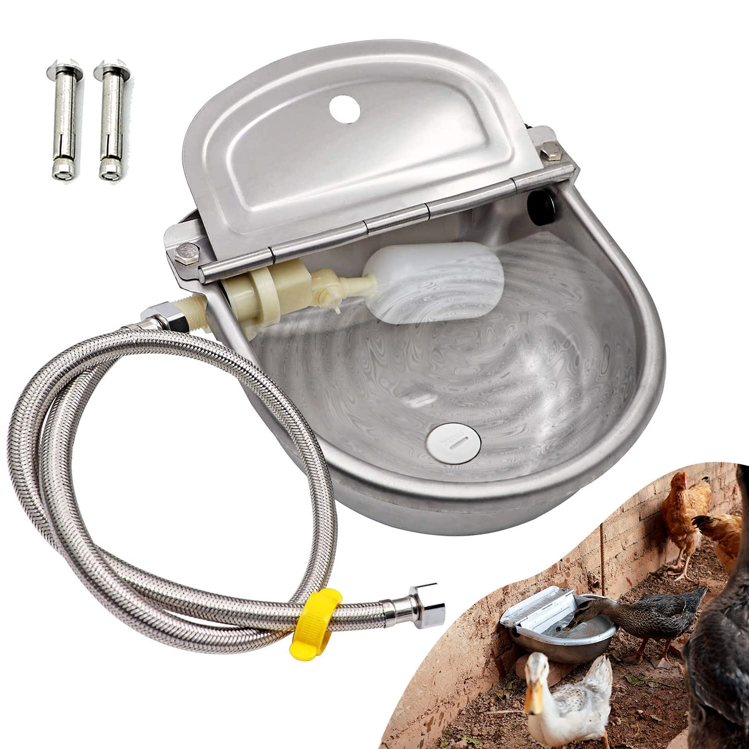 Essilnn automatic water dispenser in a large stainless steel bowl for versatile watering