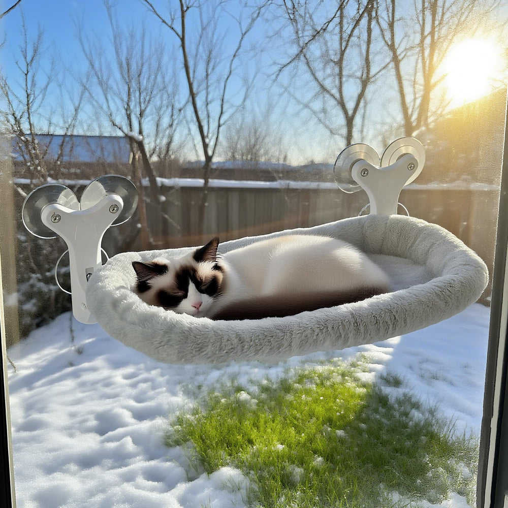 Essovee cat window perch with cat on window illustrates elevated resting spot.