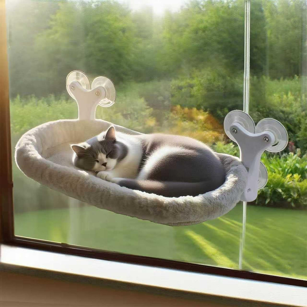 Essovee cat window perch with suction cups for secure window mounting.