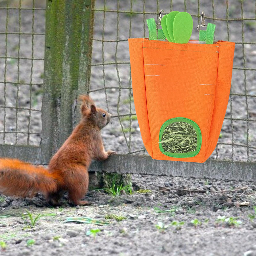 Estivaux packaging includes one carrot hay bag for small pet homes.