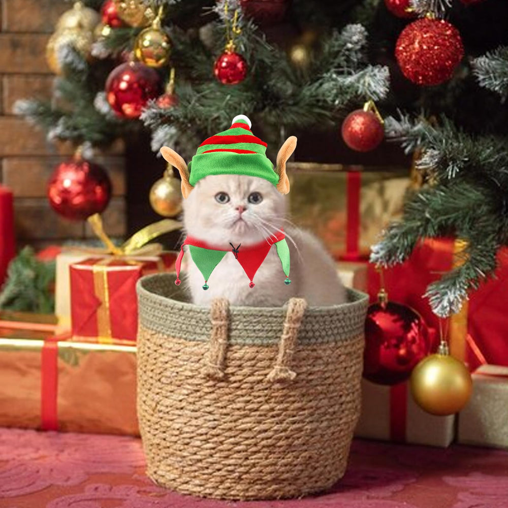 Estivaux PetGear Xmas Elf Costume-elastic-strap shows easy wear for small pets.