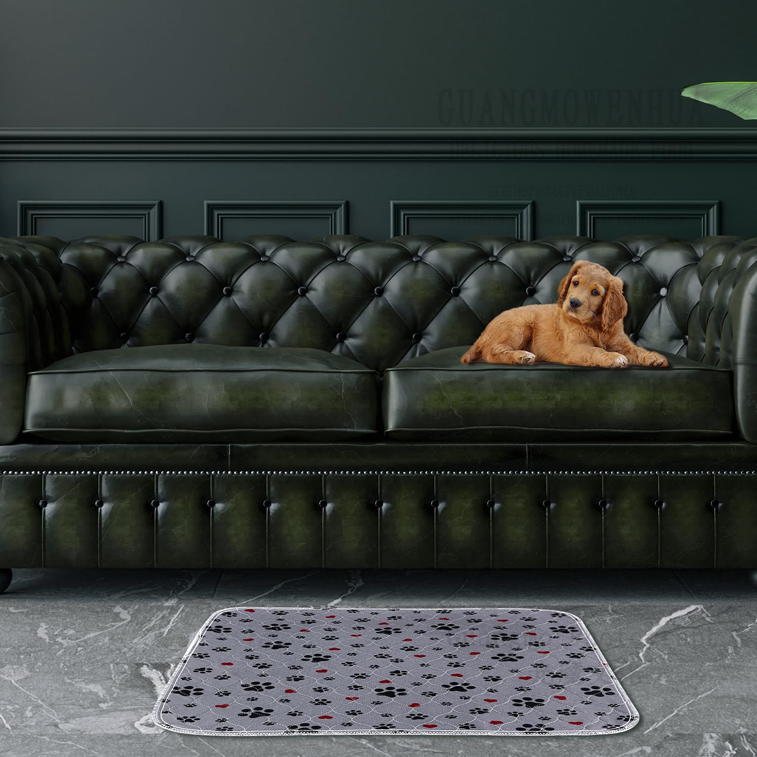 ESWIN two-pack design fits busy homes and repeated use.