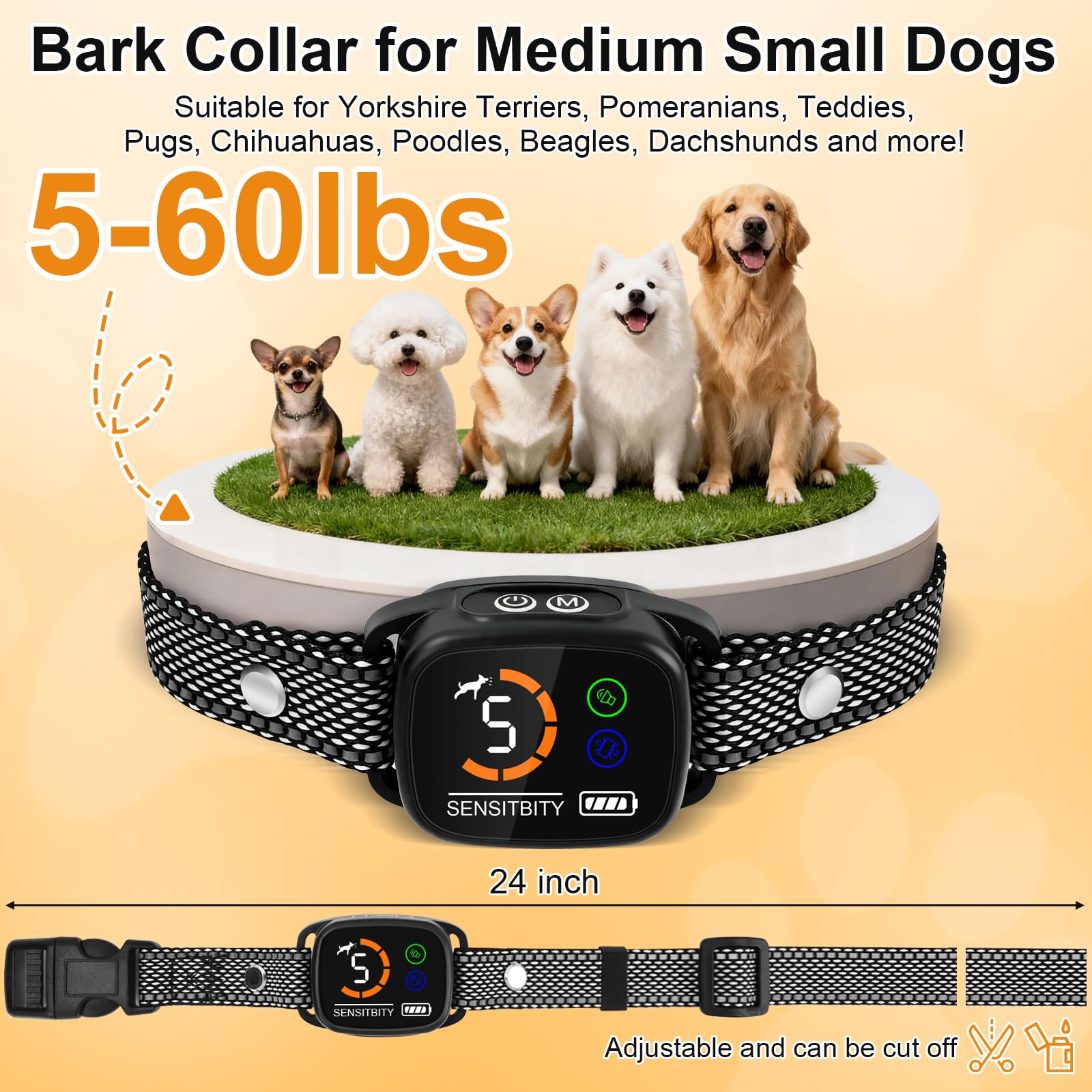ETACCU dog bark collar worn on neck demonstrates adjustable fit for 5-60 lb dogs
