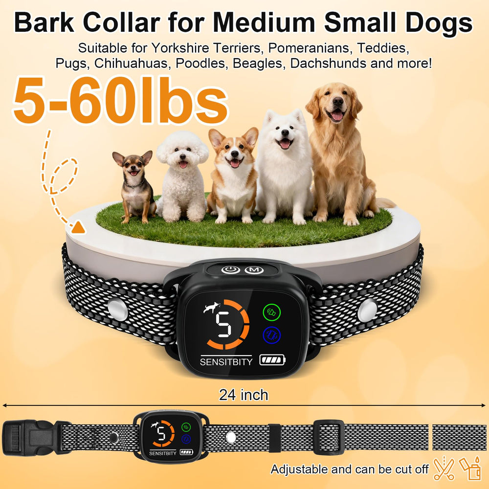 ETACCU dog bark collar worn on neck demonstrates adjustable fit for 5-60 lb dogs