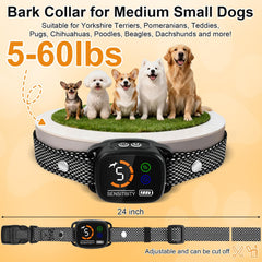 ETACCU dog bark collar worn on neck demonstrates adjustable fit for 5-60 lb dogs
