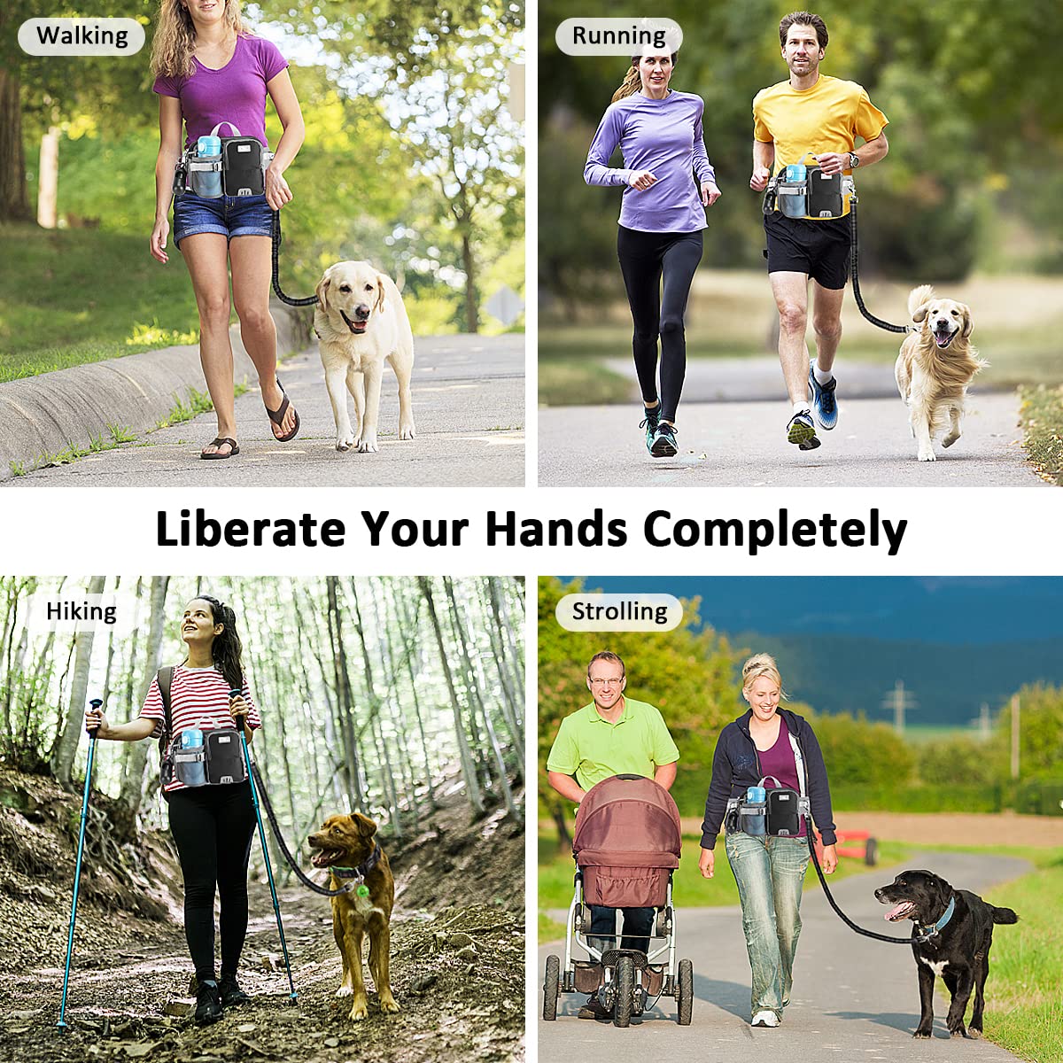 ETACCU extendable length accommodates different dog sizes 37 to 54 inches