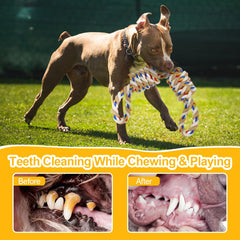 ETACCU cuerda resistente para perros grandes, diseño duradero y robusto