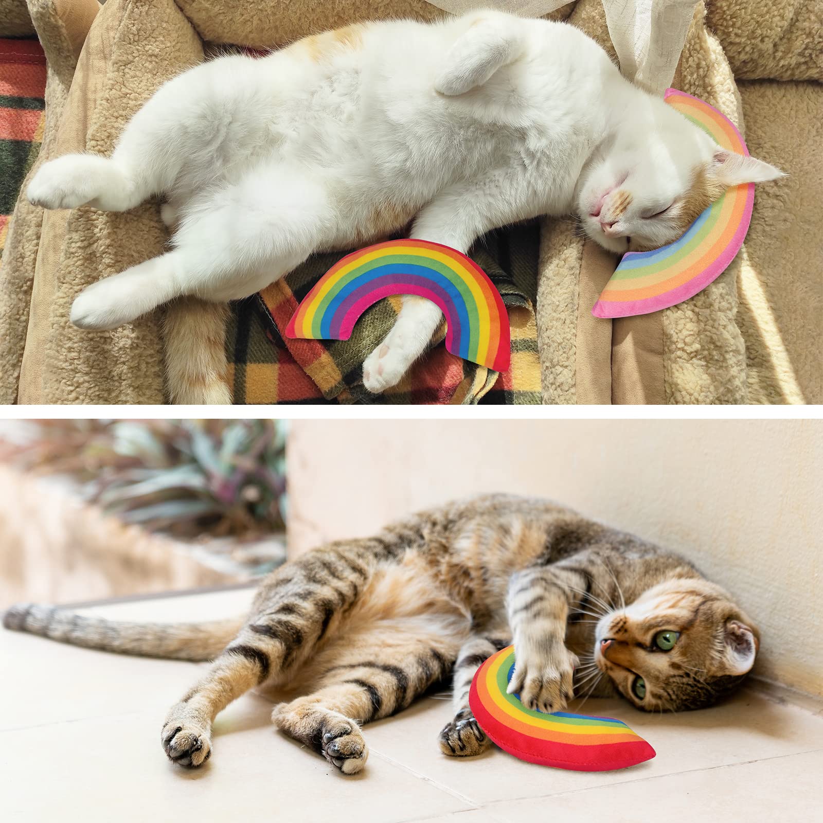 ETEKYER catnip toy kitten-teething aids chewing and dental-friendly motion