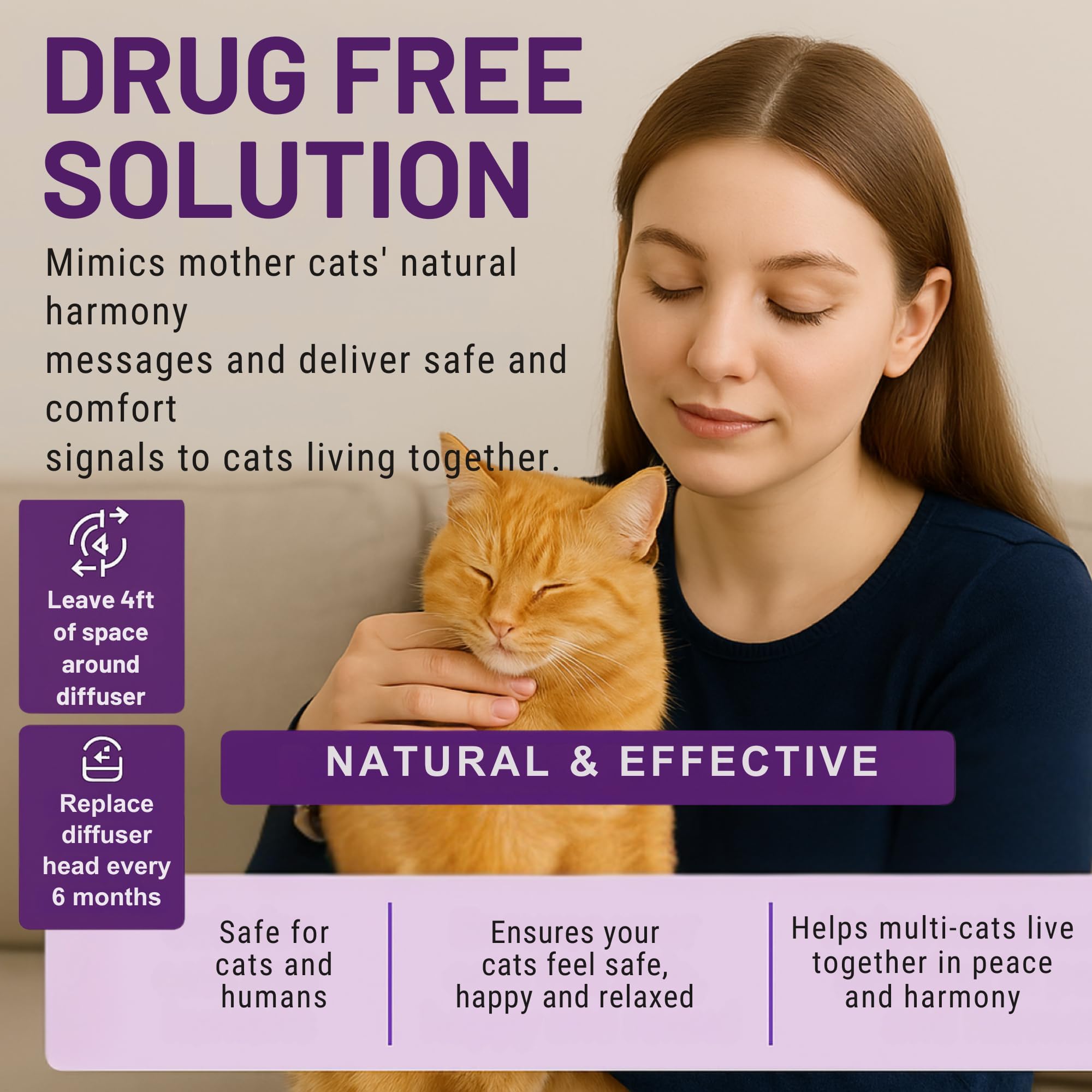ETEVIVO cat calming diffuser being used in room helps reduce feline stress.