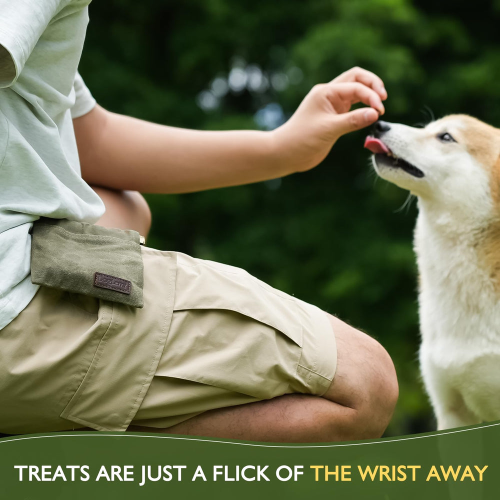 ETIAL Dog Treat Pouch Navy on leash or harness for convenience.