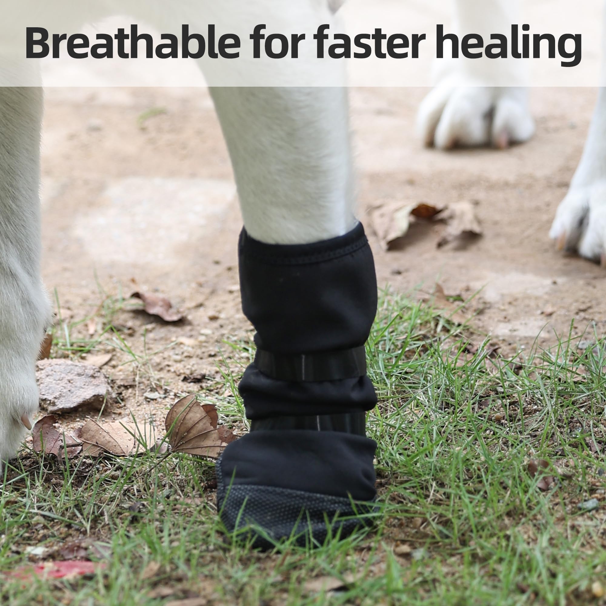 ETIAL sizing guide image showing sizes S to XL for paw coverage