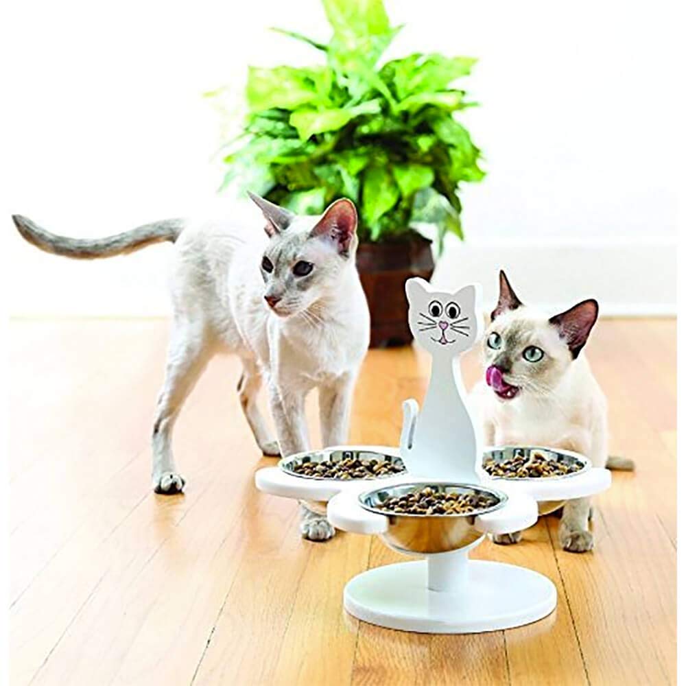 Etna elevated cat bowls multi-cat feeding setup reduces food competition and promotes shared meals.