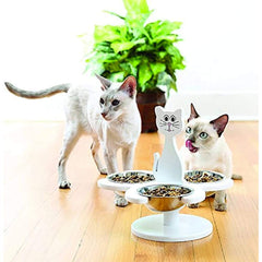Etna elevated cat bowls multi-cat feeding setup reduces food competition and promotes shared meals.