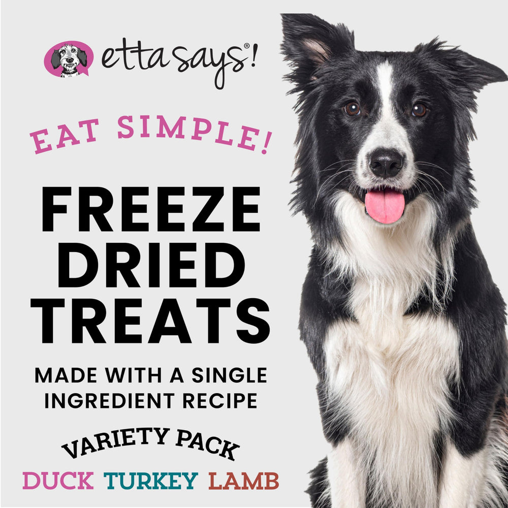 Etta Says Eat Simple freeze-dried duck treats close-up, highlighting texture ideal for training rewards.