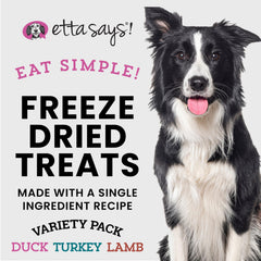 Etta Says Eat Simple freeze-dried duck treats close-up, highlighting texture ideal for training rewards.