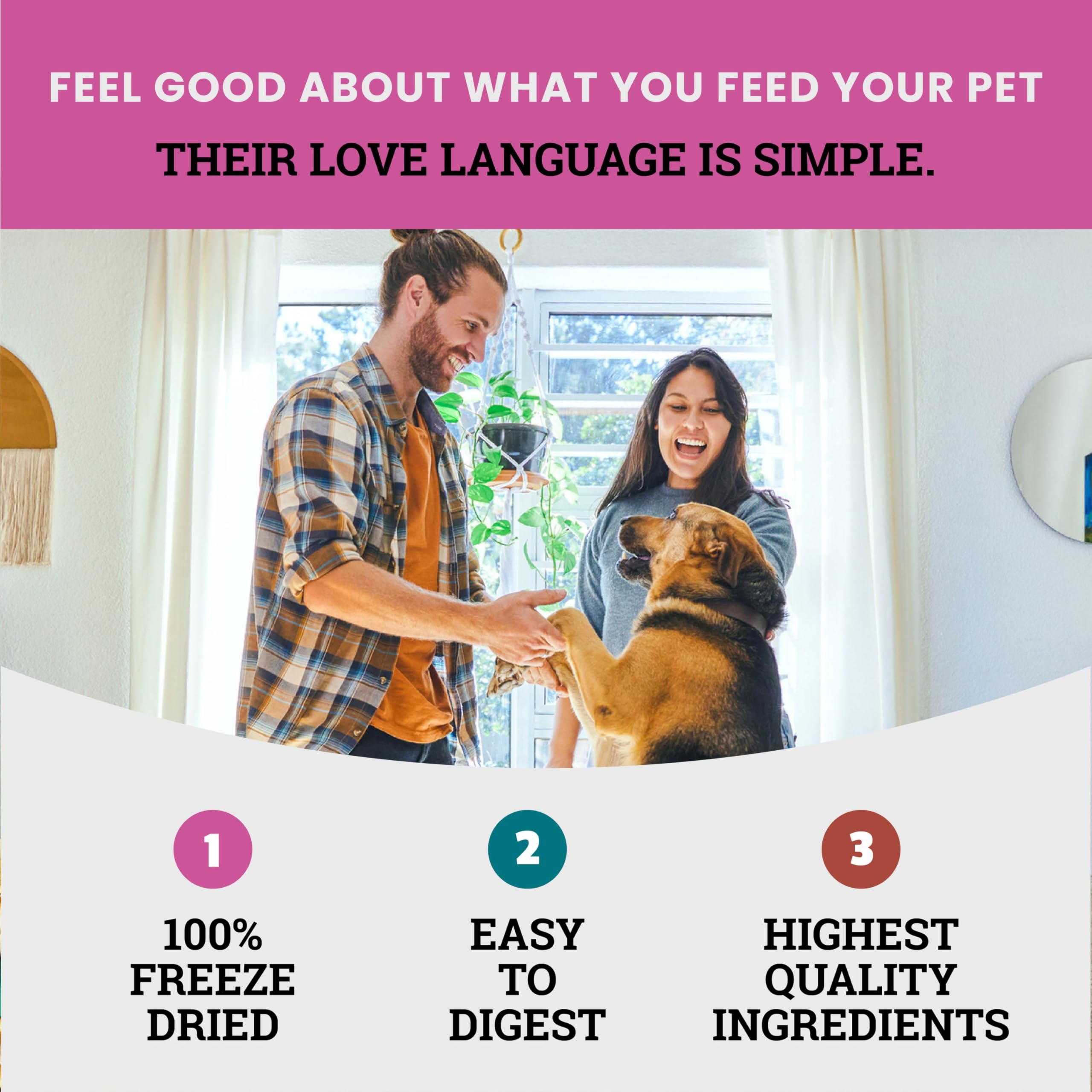 Etta Says Eat Simple freeze-dried turkey treats close-up, showing clean ingredients for sensitive stomachs.