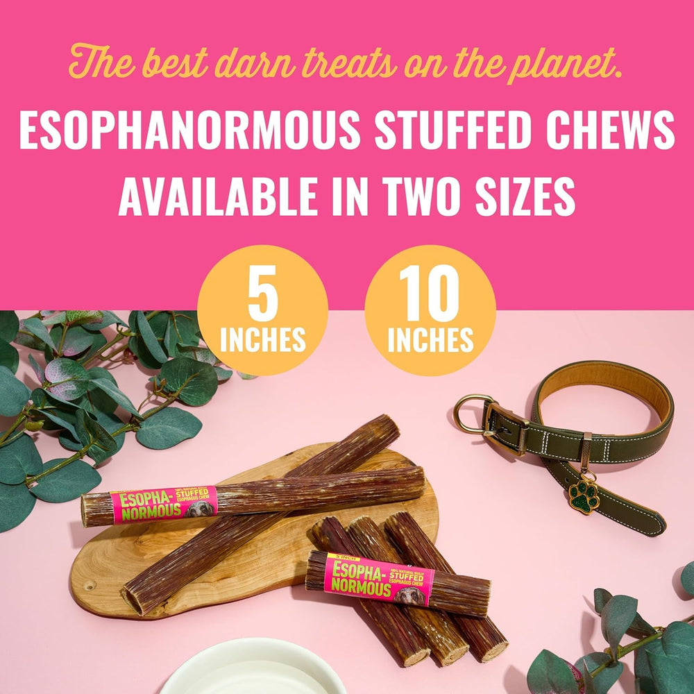etta says! Esophonormous esophagus stuffed bully stick dog joy moment for enrichment