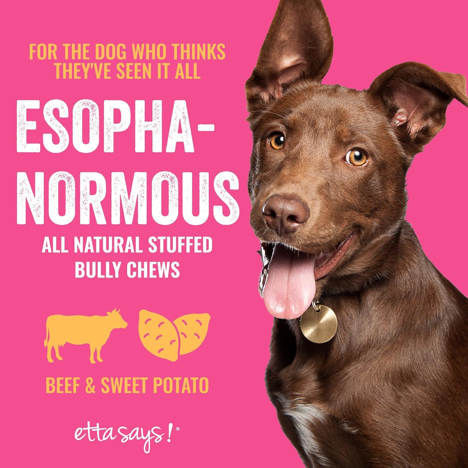 etta says! Esophonormous stuffed bully stick full chew action for dogs