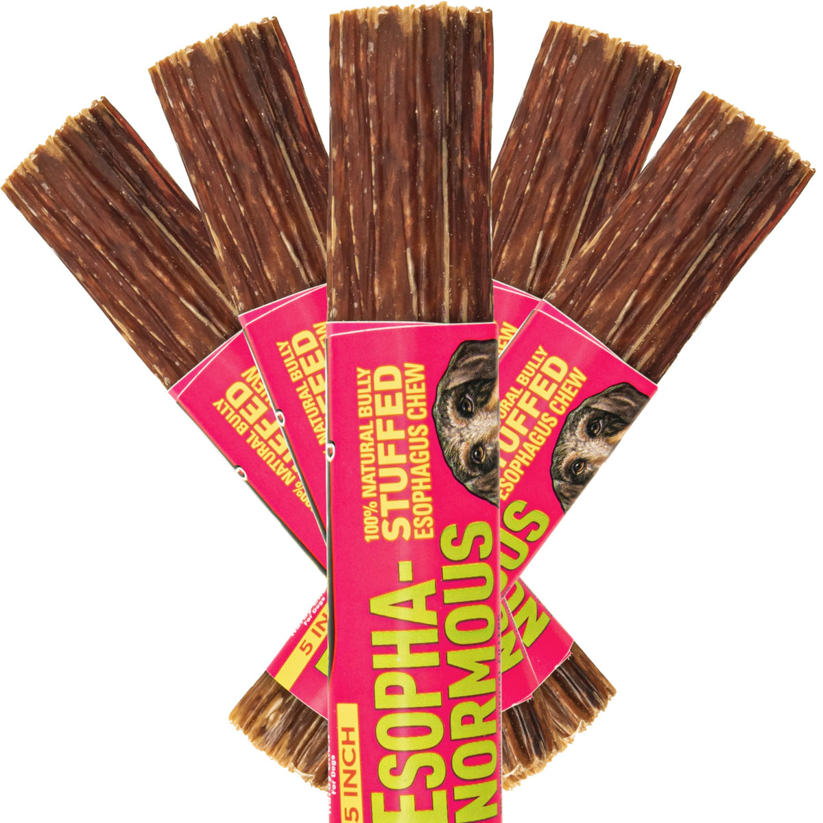 etta says! Esophonormous stuffed bully stick unboxing shows durable chew for dogs