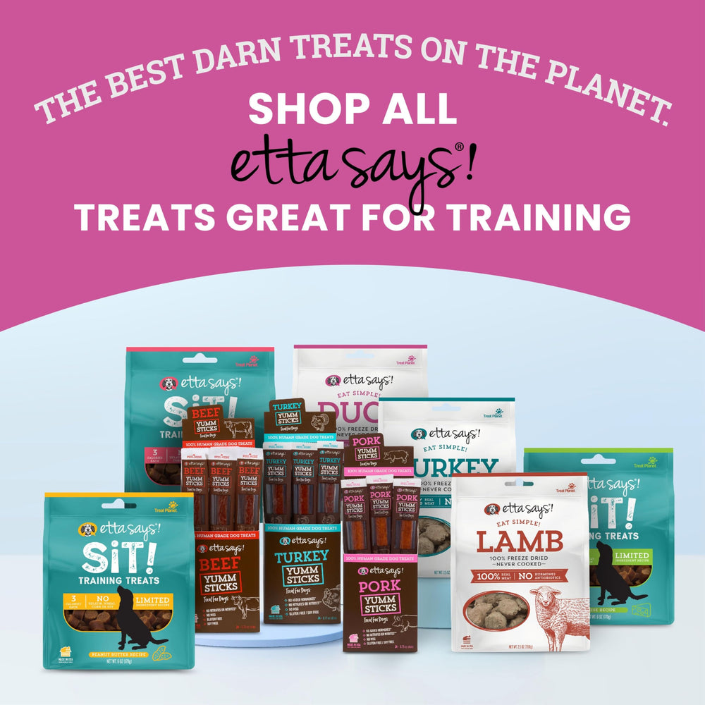 Etta Says Single-ingredient dog treats close-up, ideal for dogs with sensitivities.