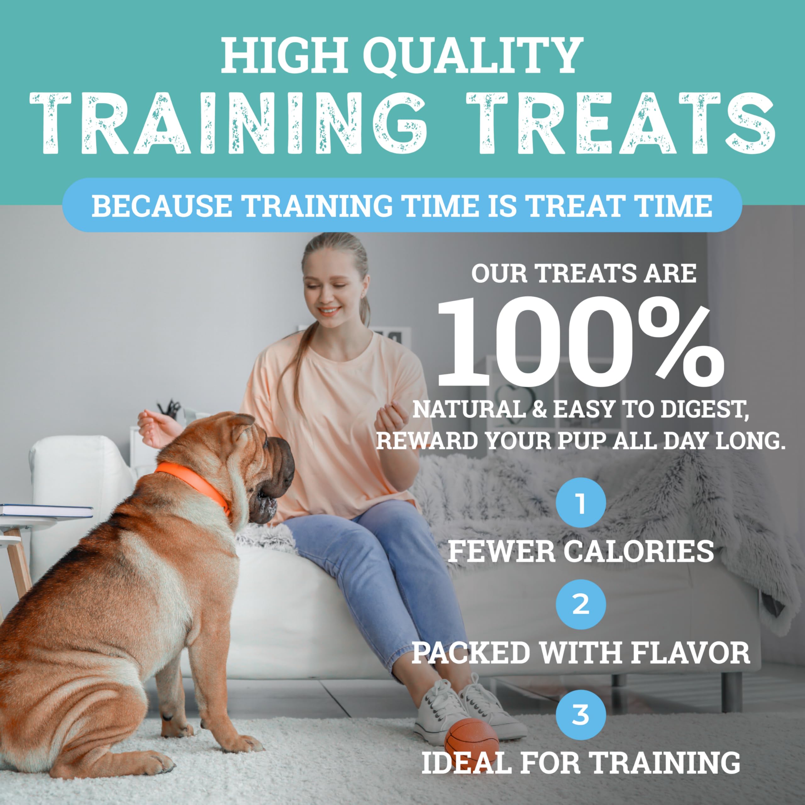 Etta Says Sit Training Treats low-calorie option for frequent training rewards.
