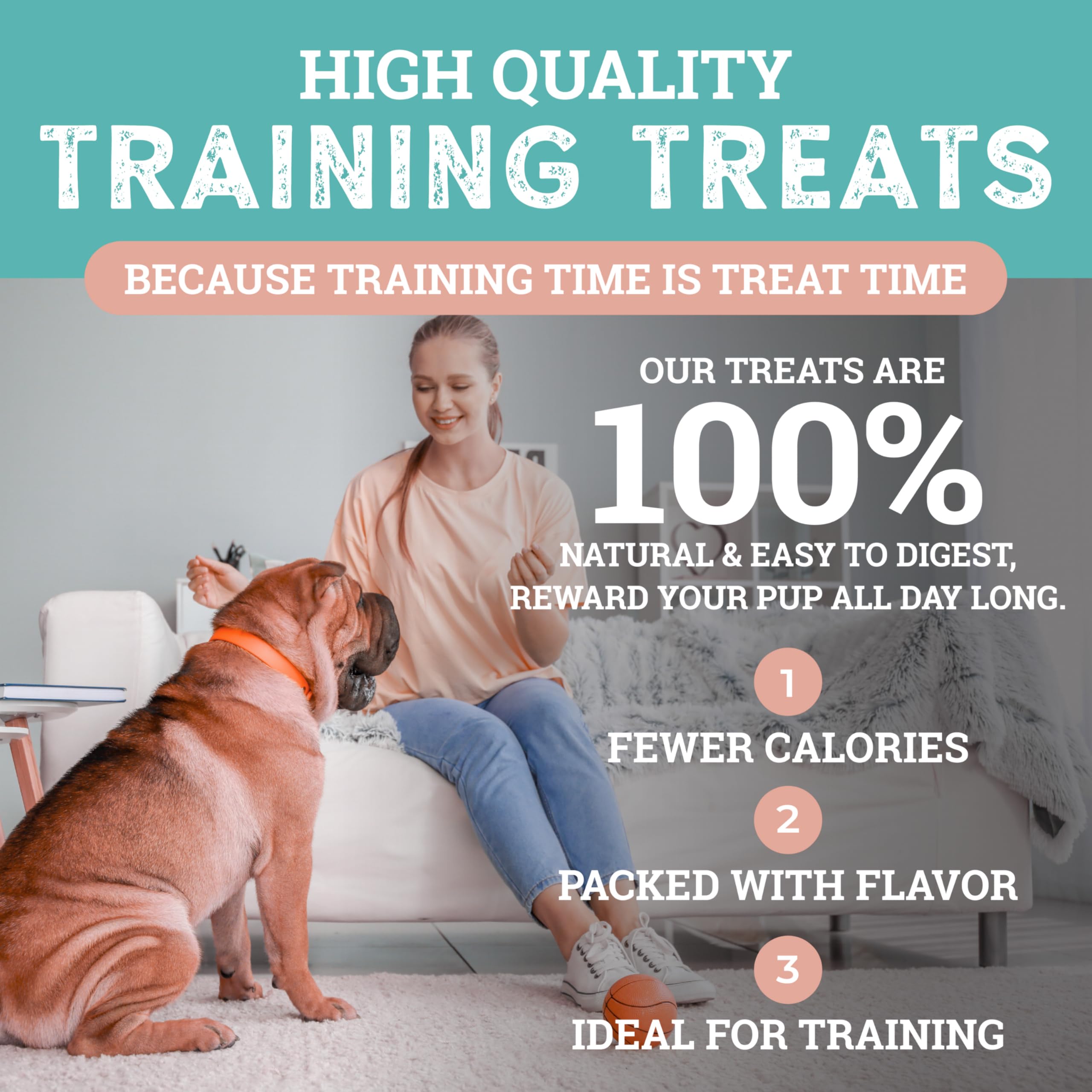 Etta Says Sit Training Treats training session visual with dog performing recall.