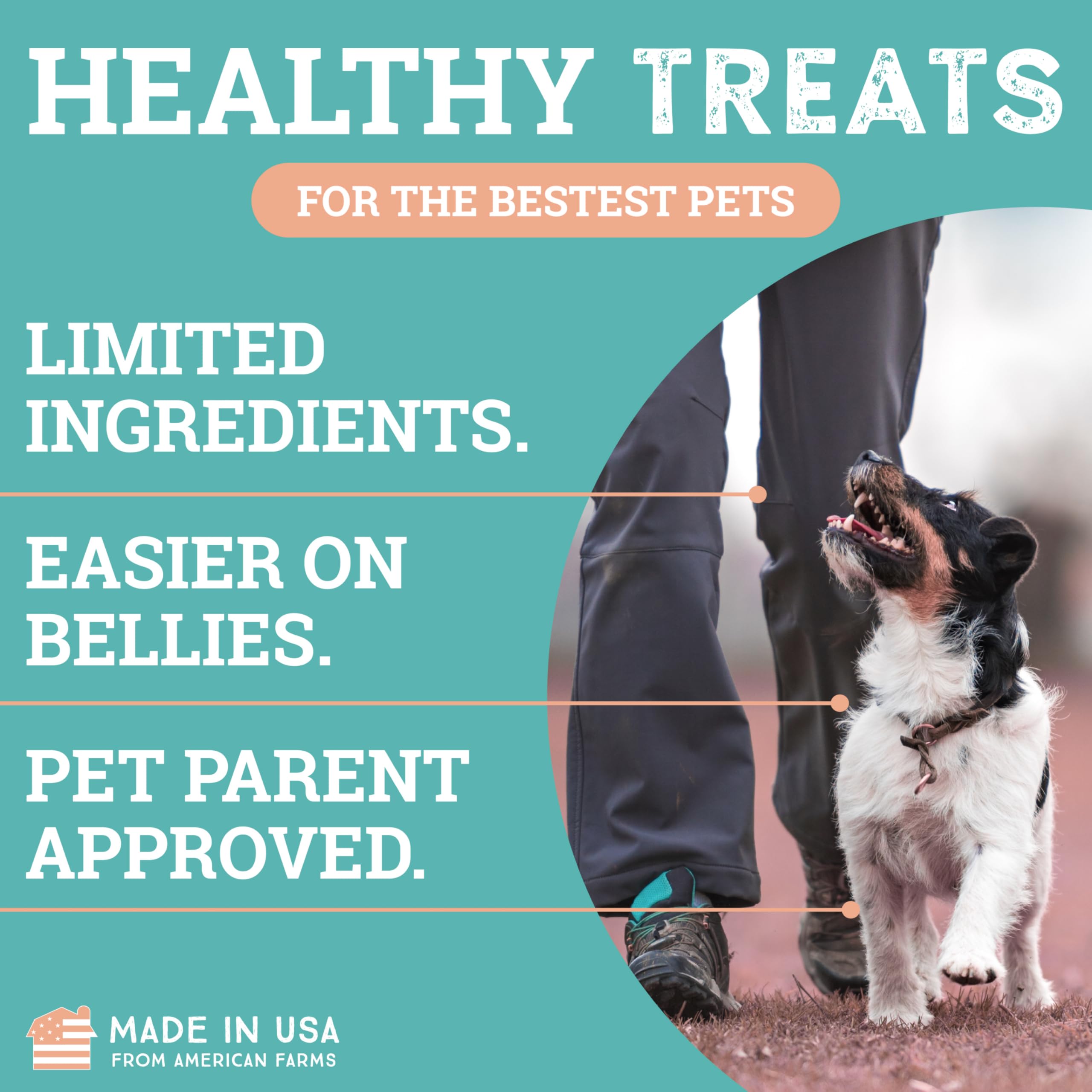 Etta Says Sit Training Treats USA-made label highlighting domestic ingredient sourcing.