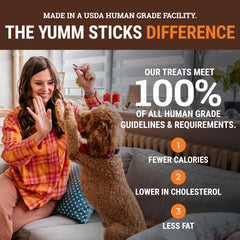 Etta Says Yumm Sticks beef jerky close-up protein-packed treat for active dogs