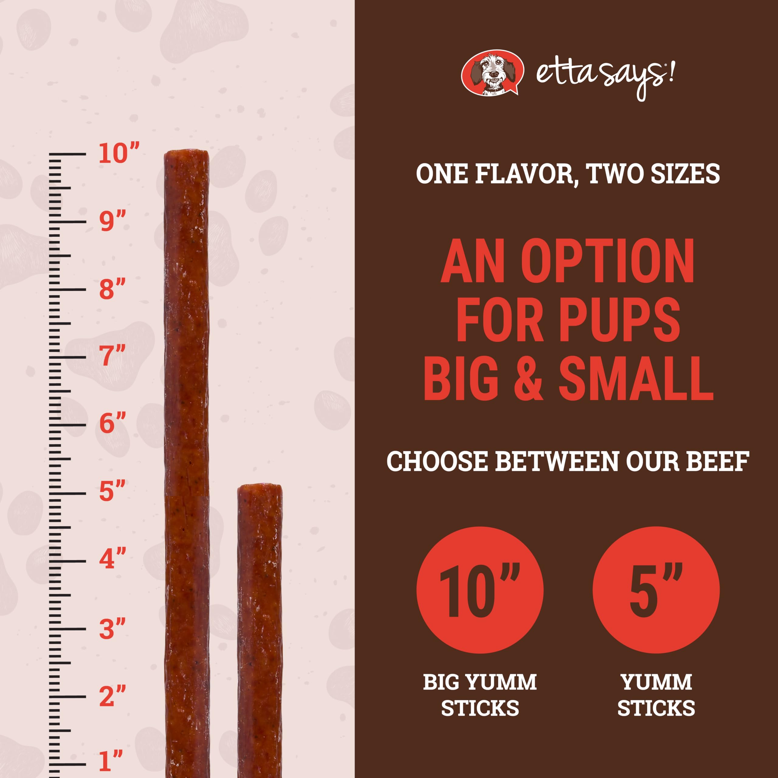 etta says! Yumm Sticks beef jerky pack back label highlights ingredients